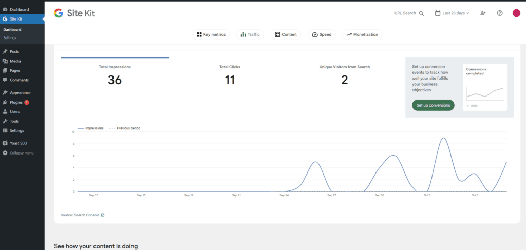 google sitekit